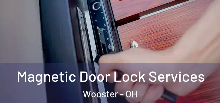 Magnetic Door Lock Services Wooster - OH